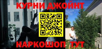 индика Будённовск