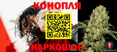 индика Будённовск
