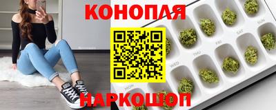 индика Будённовск